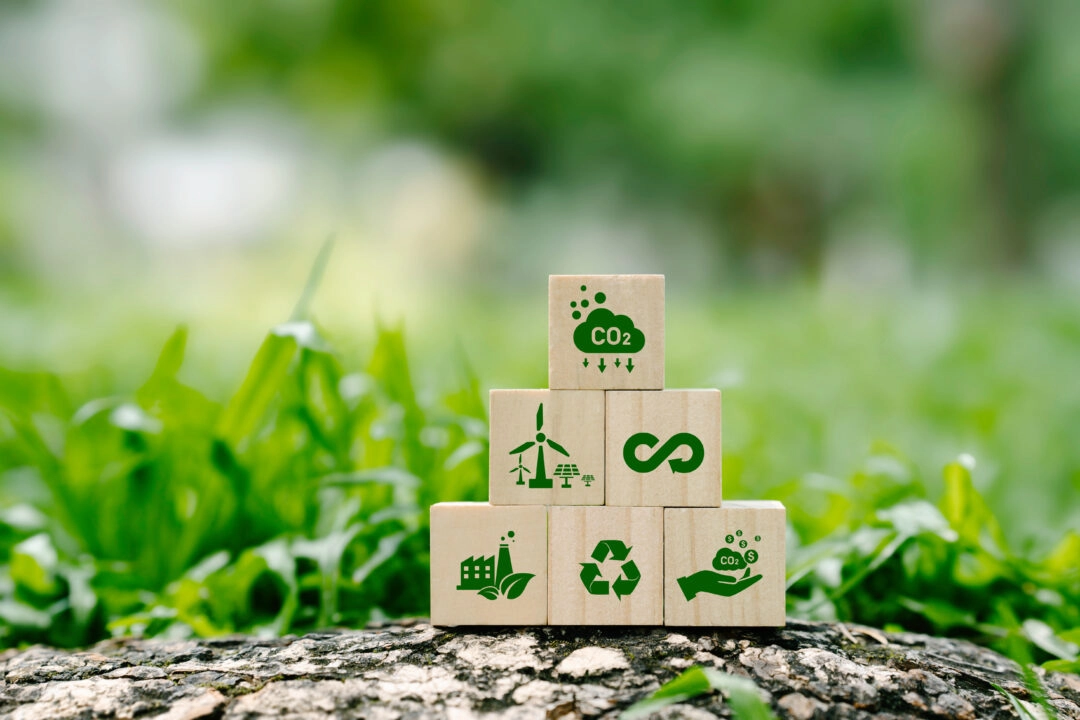 Environmental Impact Assessment Success